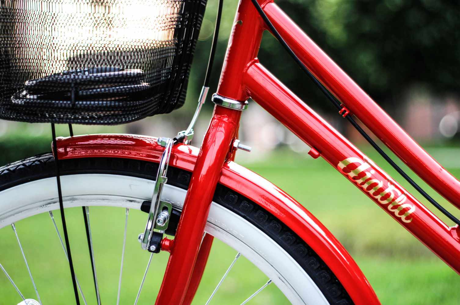 Custom Bikes